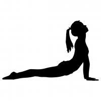 Fleet Feet Albany Yoga 11/13-12/18