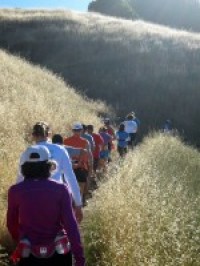 Getting Started Trail Running: Training for 12K Distance