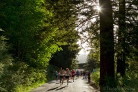 2018 Spring Full Marathon Training Program