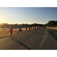2021 Summer 5K and 10K